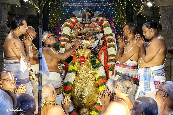 SRI-GT-HAMSA-VAHANAM-1
