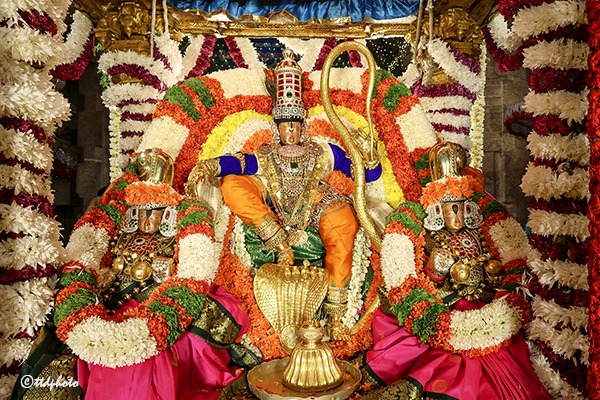 SRI-GT-SARVABHOOPALA-VAHANAM-1