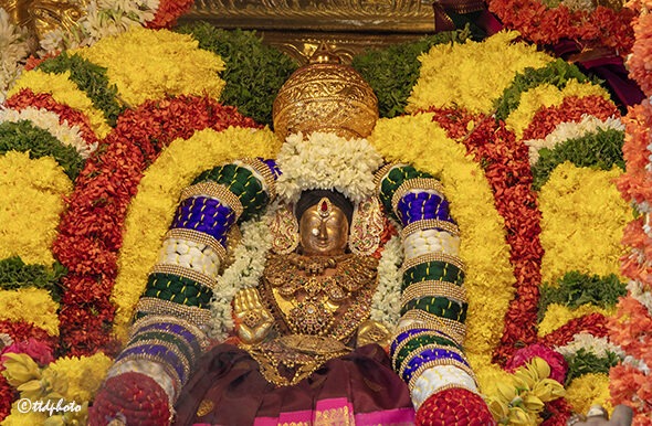 SWARNA-RATHAM-IN-SRI-PAT