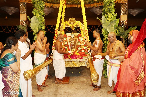 TARIGONA-VENGAMABA-JAYANTHI10
