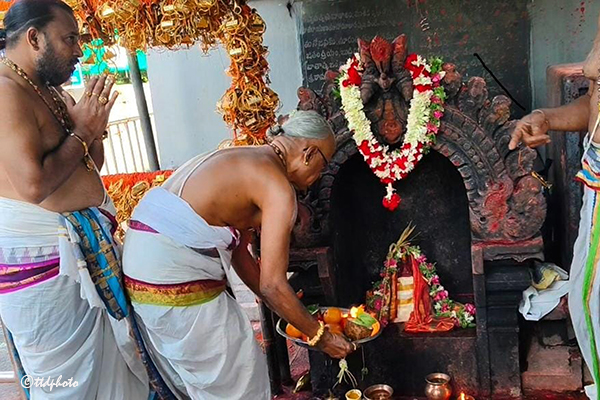 HANUMAN-IDOL1