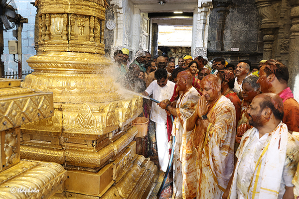 KOIL-ALWAR-TIRUMANJANAM-IN-TIRUMALA4