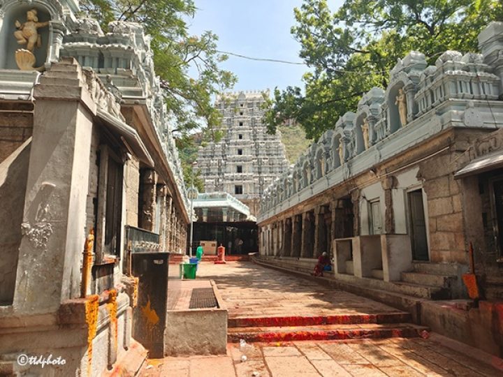 KOIL-ALWAR-TIRUMANJANAM-IN-ALIPERI-PADALA-MANDAPAM3-720x540