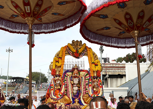 PROCESSION-OF-LORD-MALAYAPPA-SWAMY-ADORNED-WITH-PAVITHRA-MALA