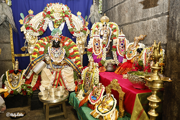 TIRUMALA-NAMBI-AVATHARA-MAHOTSAVAM-02