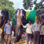 WORLD-ELEPHANT-DAY-OBSERVED-AT-SV-GOSHALA2