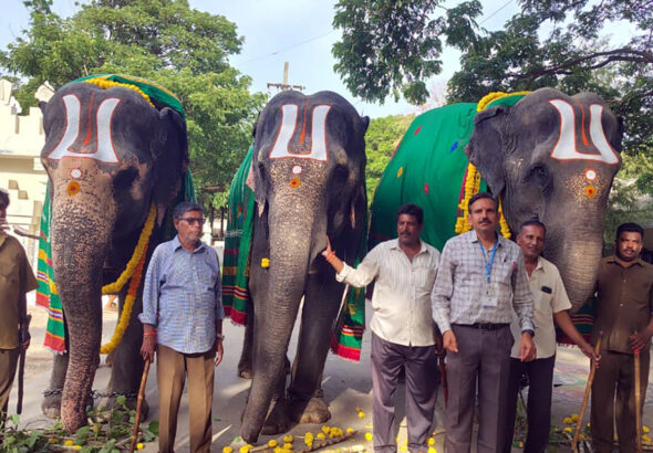 WORLD-ELEPHANT-DAY-OBSERVED-AT-SV-GOSHALA2