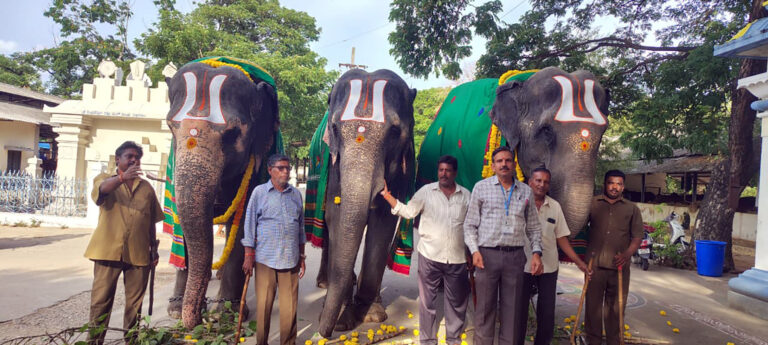 WORLD-ELEPHANT-DAY-OBSERVED-AT-SV-GOSHALA2