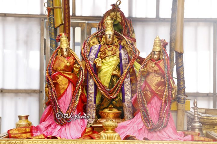 pavithra-mala-copy-720x480