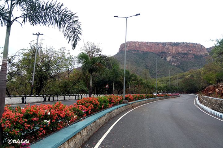 2nd-GHAT-ROADS-FLOWERS-SHOW-1-720x480