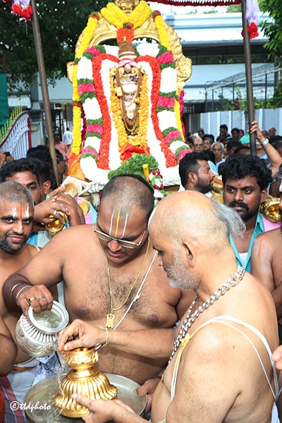 BAGH-SAVARI4