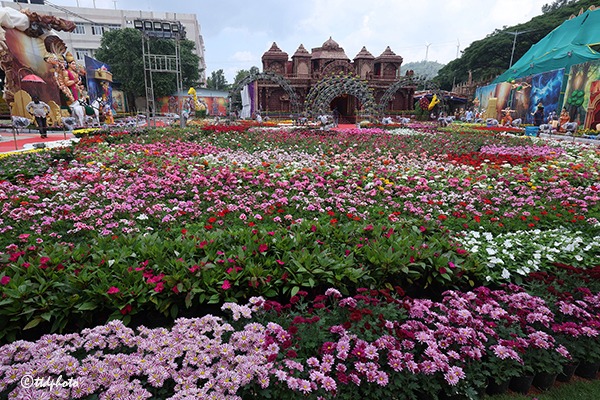 FLOWER-SHOW-EXIHIBITION