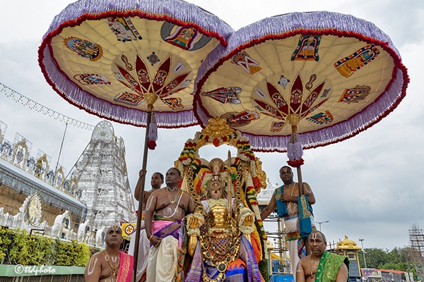 HANUMANTHA-VAHANAM2