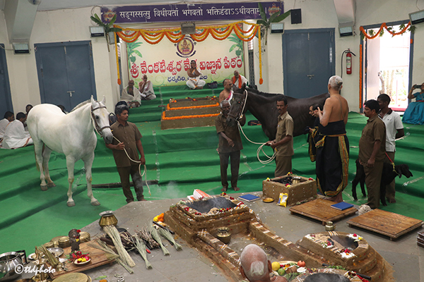 KAREERI-ISTHI-YAGAM-IN-TML4pg
