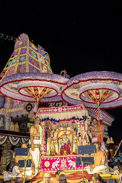MUTHYAPU-PANDIRI-VAHANAM2