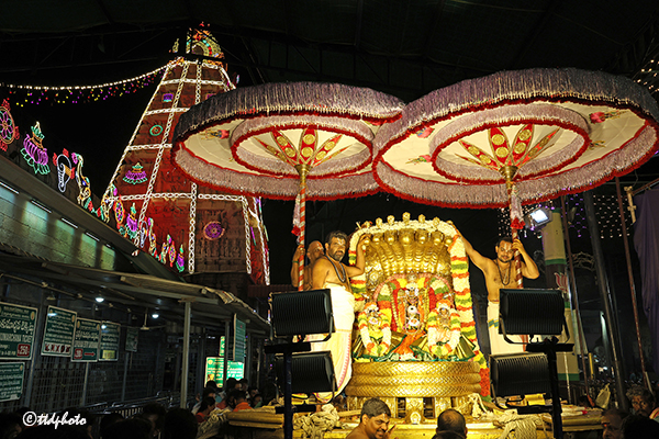PEDDASESHA-VAHANAM-IN-SRI-PAT2