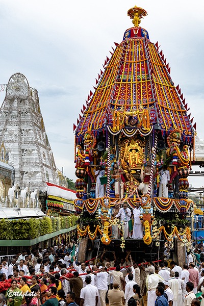 RATHOTSAVAM12