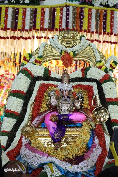 SENADHIPATHI-PROCESSION