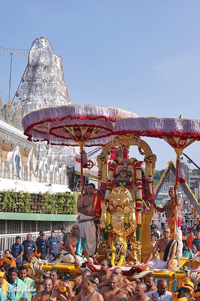 SIMHA-VAHANAM4