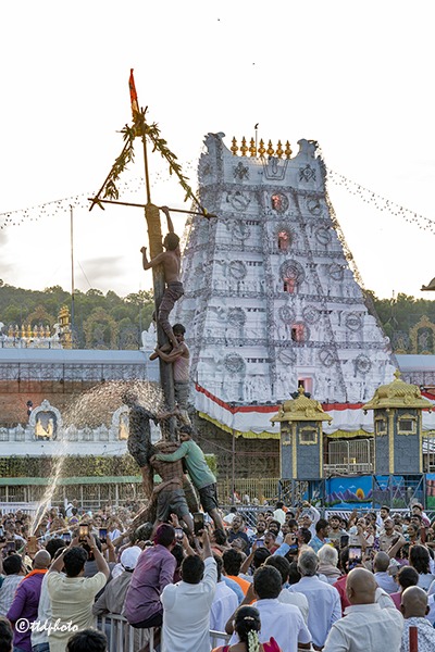 UTLOTSAVAM-IN-TIRUMALA10