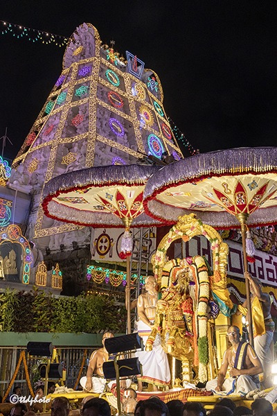 ASWA-VAHANAM-IN-TIRUMALA11