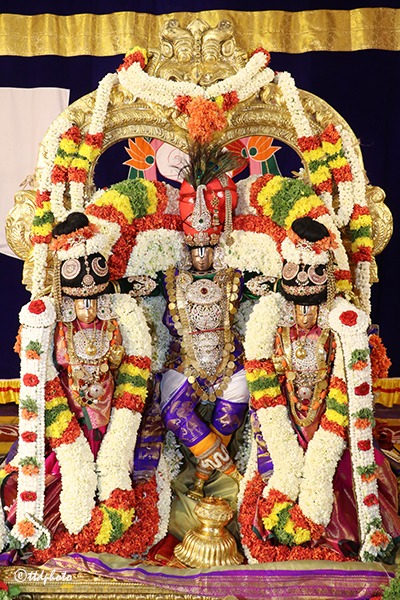 BANGARU-TIRUCHI-UTSAVAM2