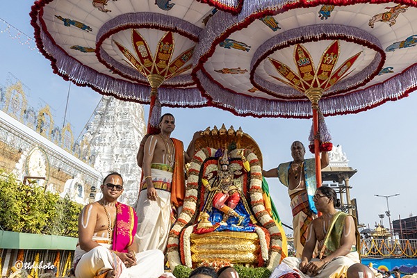 CHINNASESHA-VAHANAM1