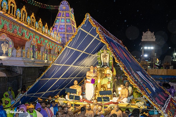 GAJA-VAHANAM-IN-TIRUMALA9