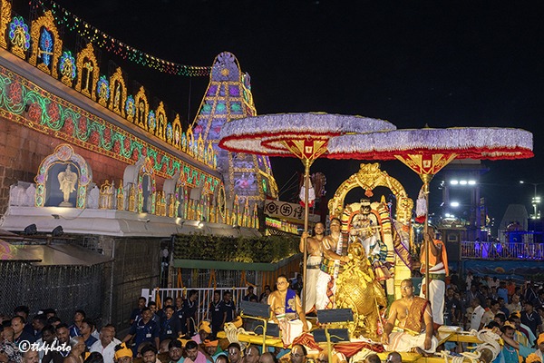 HAMSA-VAHANAM-IN-TIRUMALA9