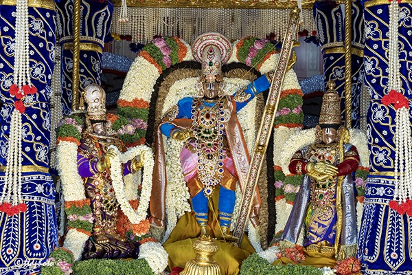 MUTHYAPU-PANDIRI-VAHANAM-IN-TIRUMALA