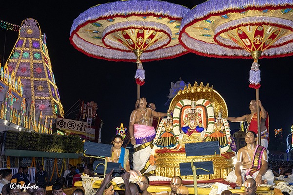 PEDDASESHA-VAHANAM-IN-TIRUMALA7