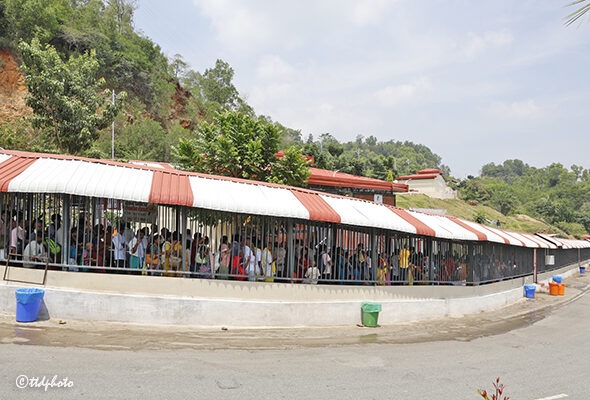 PILGRIM-RUSH-IN-TIRUMALA