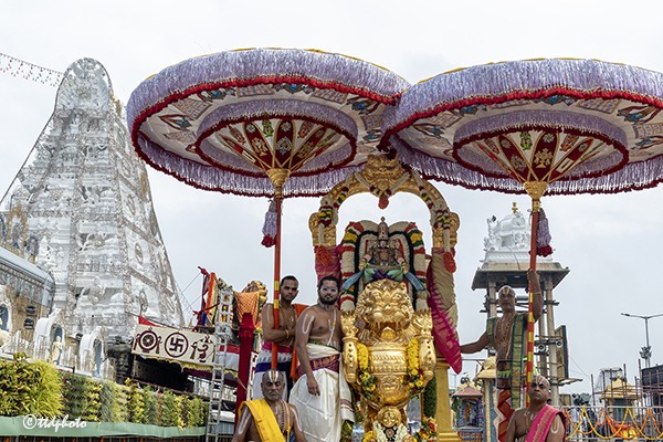SIMHA-VAHANAM-IN-TIRUMALA3