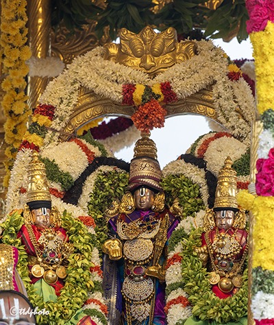 SWARNA-RATHAM-IN-TIRUMALA
