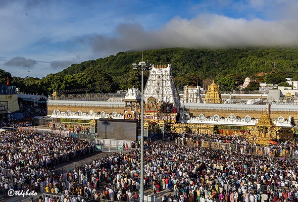 SWARNA-RATHAM-IN-TIRUMALA18