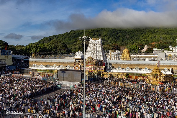 SWARNA-RATHAM-IN-TIRUMALA18
