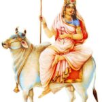 WhatsApp Image 2026-10-11 at 6.07.35 PM
