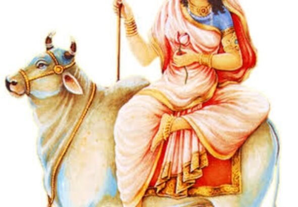 WhatsApp Image 2026-10-11 at 6.07.35 PM