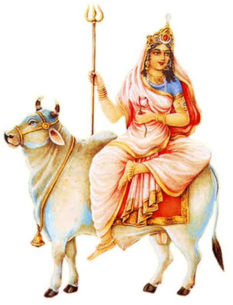 WhatsApp Image 2026-10-11 at 6.07.35 PM