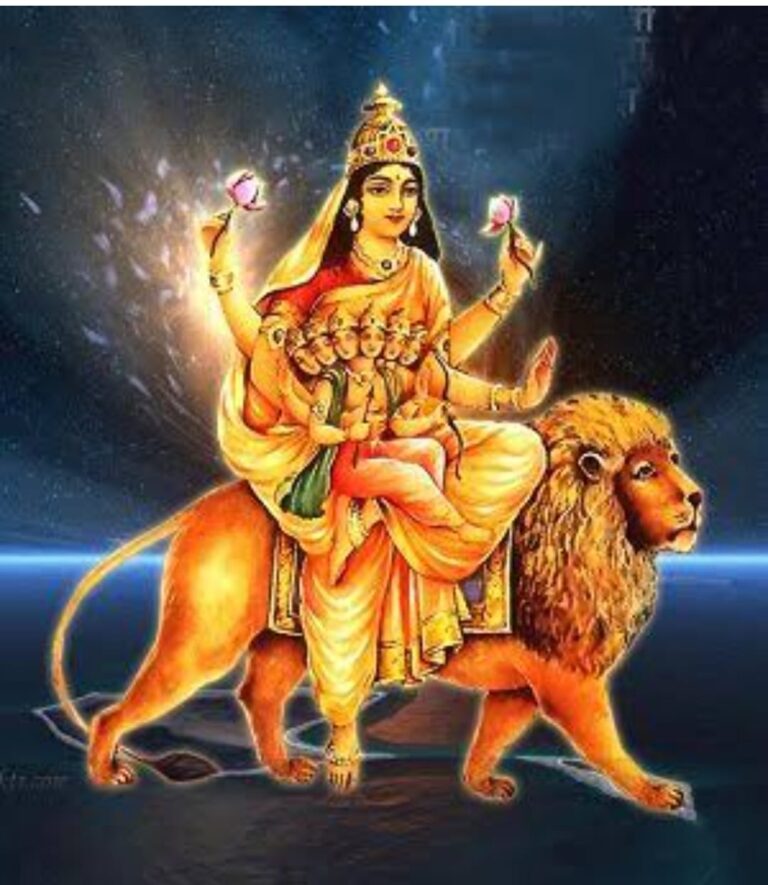 WhatsApp Image 2026-10-15 at 12.10.05 PM